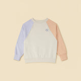 Pastel Sweatshirt
